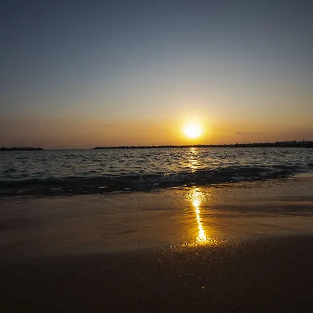 Venus Paphos