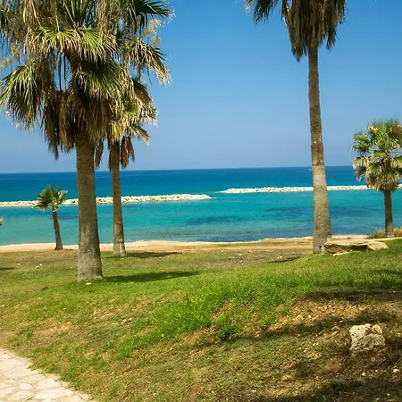 Venus Hotel Paphos